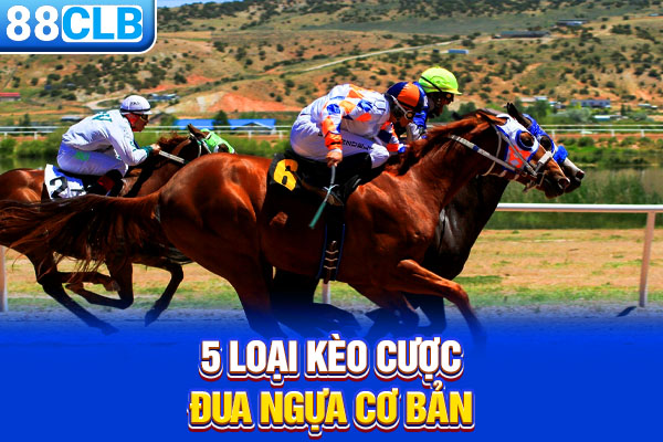 5 loại kèo cược đua ngựa cơ bản