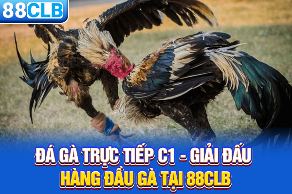 Đá Gà Trực Tiếp C1 - Giải Đấu Hàng Đầu Gà Tại 88CLB